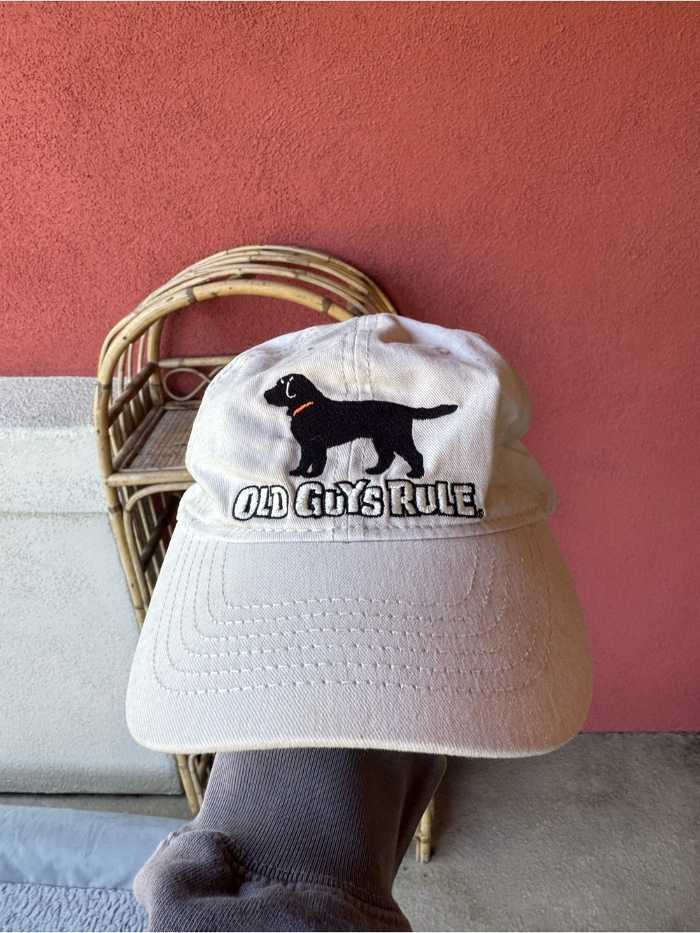 Beige Dog Embroidered Baseball Cap